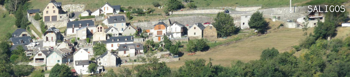 Saligos
