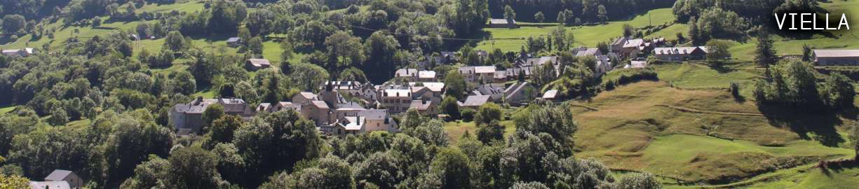 Viella