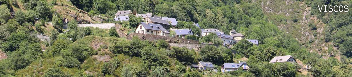 Viscos
