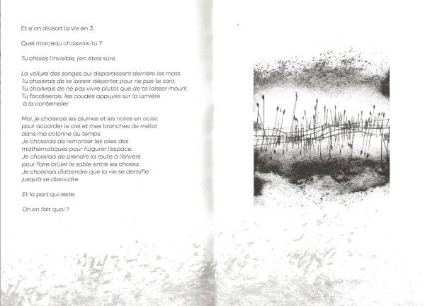 Extrait du livre «&nbsp;ce rien qui nous hisse&nbsp;»