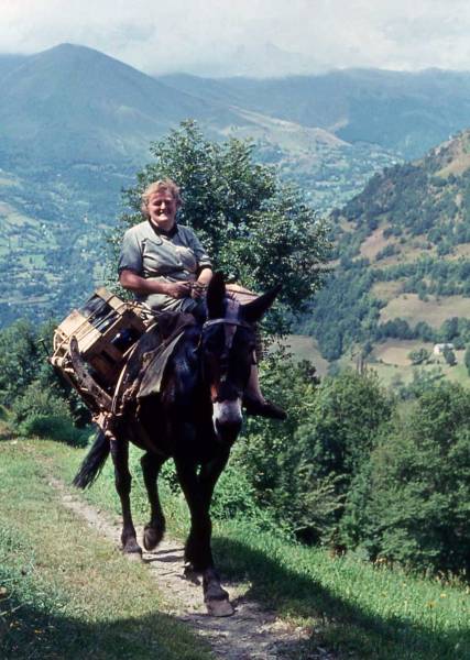 Titine monte au Bolou