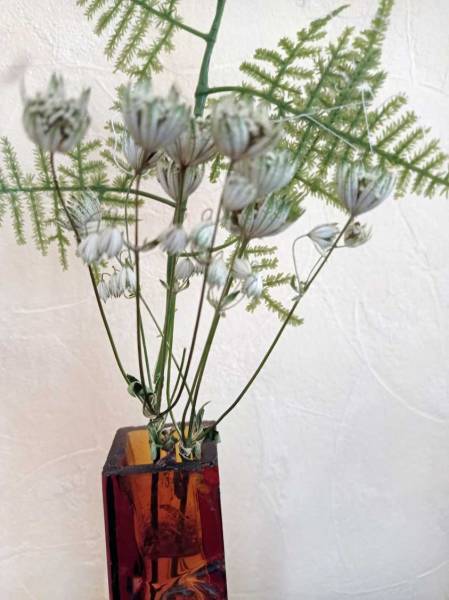 Quelques fleurs de St-Jean cueillies par Céline sur l’Agnouède