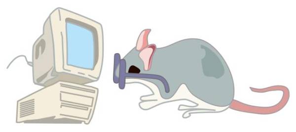La souris Toye