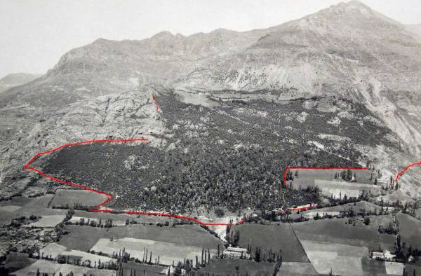 Photo n° 2 : les chênes du canton Cassaët à Gèdre-dessus