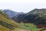 Sur les pentes du versant nord de la vallée de Bué, la sapinière