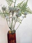 Quelques fleurs de St-Jean cueillies par Céline sur l’Agnouède