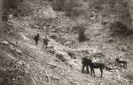 Photo n°1 : La coupe de 1908 dans la vallée du Barrada